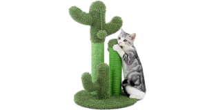 Comparatif pour choisir le meilleur arbre à chat cactus