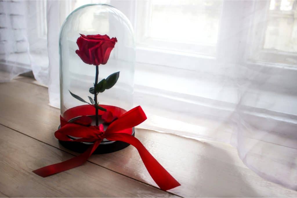 Fleur Eternelle Boite la Belle et de la Bête Rose Artificielle Romantique Boîte à Bijoux Boite Anniversaire Cadeau pour Femme Maman Saint Valentin Fête des Mères Mariage DASIAUTOEM Rose éternelle 