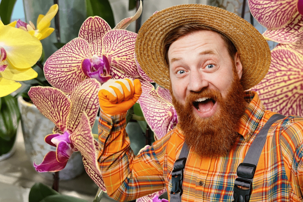 Comment Faire Refleurir Votre Orchidée en 5 Étapes Simples