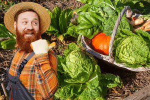 Voici les 5 légumes incontournables à cultiver dans votre potager cet automne !