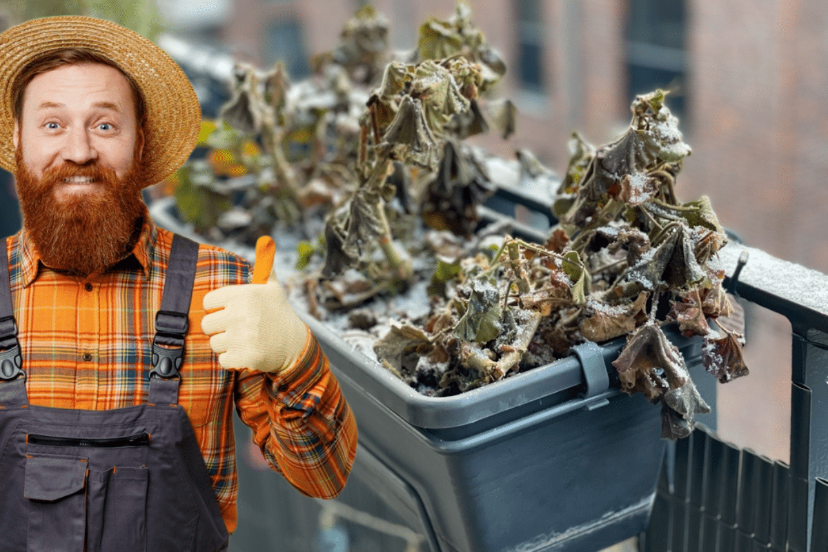 Jardiniers, Attention : Voici la Méthode Infaillible pour Recycler votre Terreau !